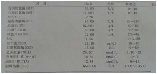 ����ˎ������?�����t(y��)���R�����������_�B(y��ng)�����o(h��)�������β�