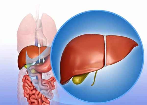 ���������,����ʡ�t(y��)ˎԺ�����t(y��)Ժȫ���˴�β����t(y��)Ѳ�\�л���M����